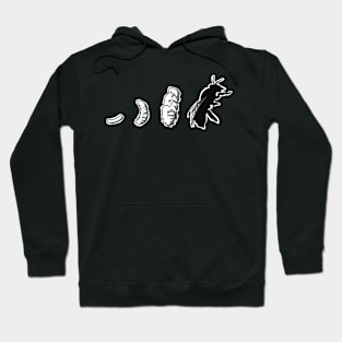 Bee Evolution Black and White Art A-11 Hoodie